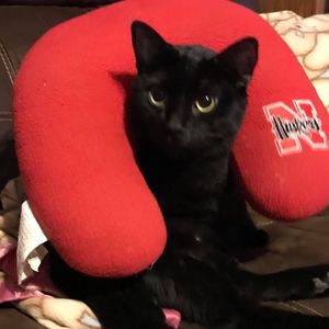 Meet your Posher, Allison